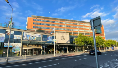 Woman (50s) airlifted to hospital following incident with pit bull terrier