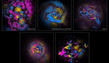Painting Galaxy Clusters By Numbers
