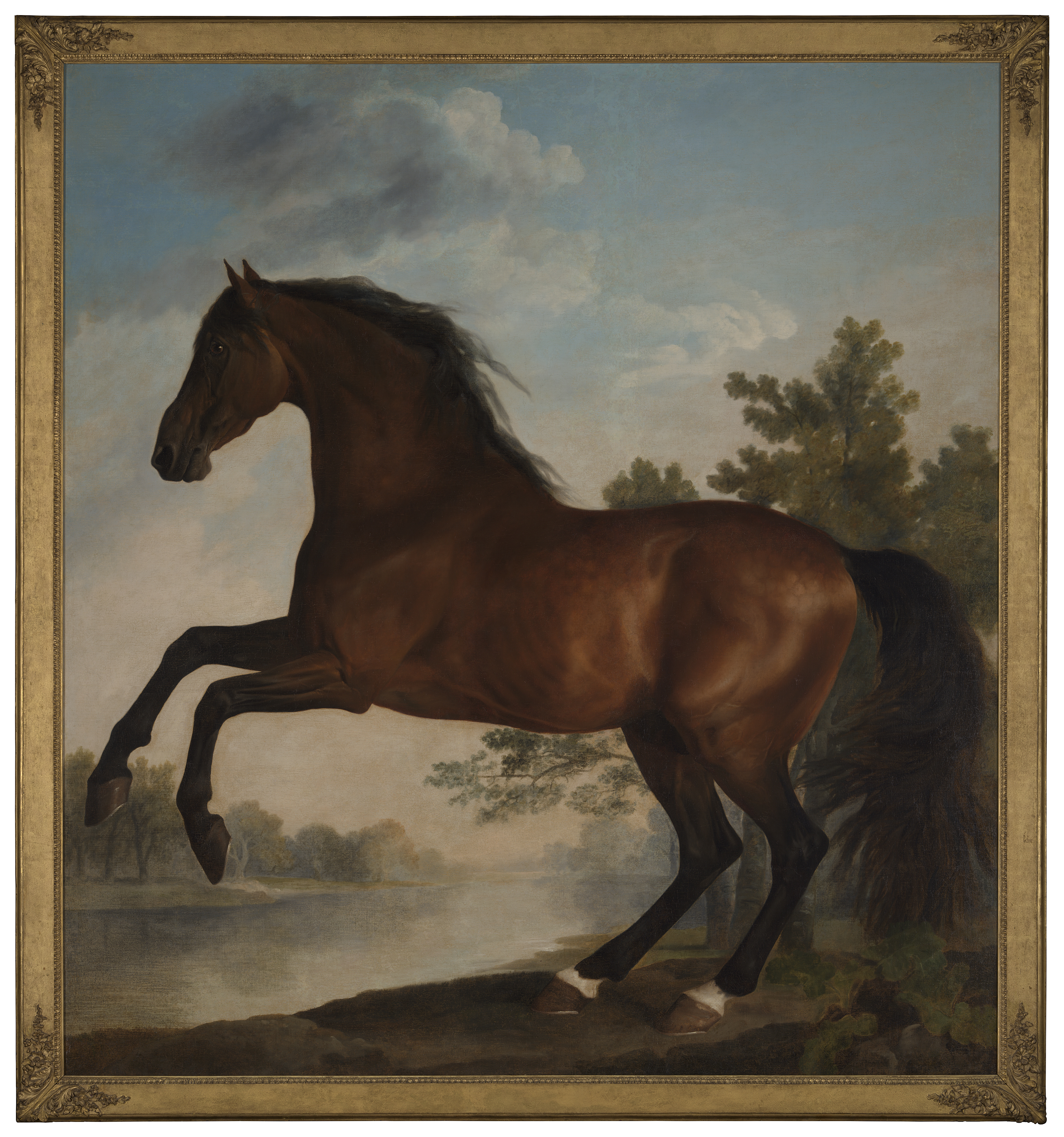Oil on canvas painting of Scrub, a bay horse, rearing on its hind legs near a body of water with trees in the background.
