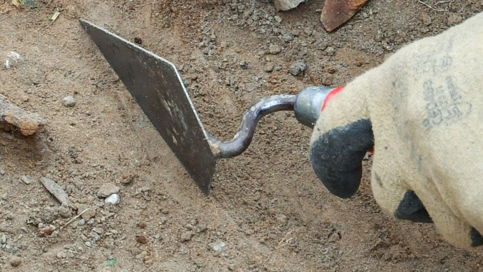 Newly dated fossils in Morocco point to our African roots