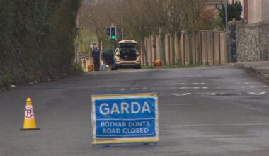 Garda pleads guilty over fatal hit-and-run in Louth