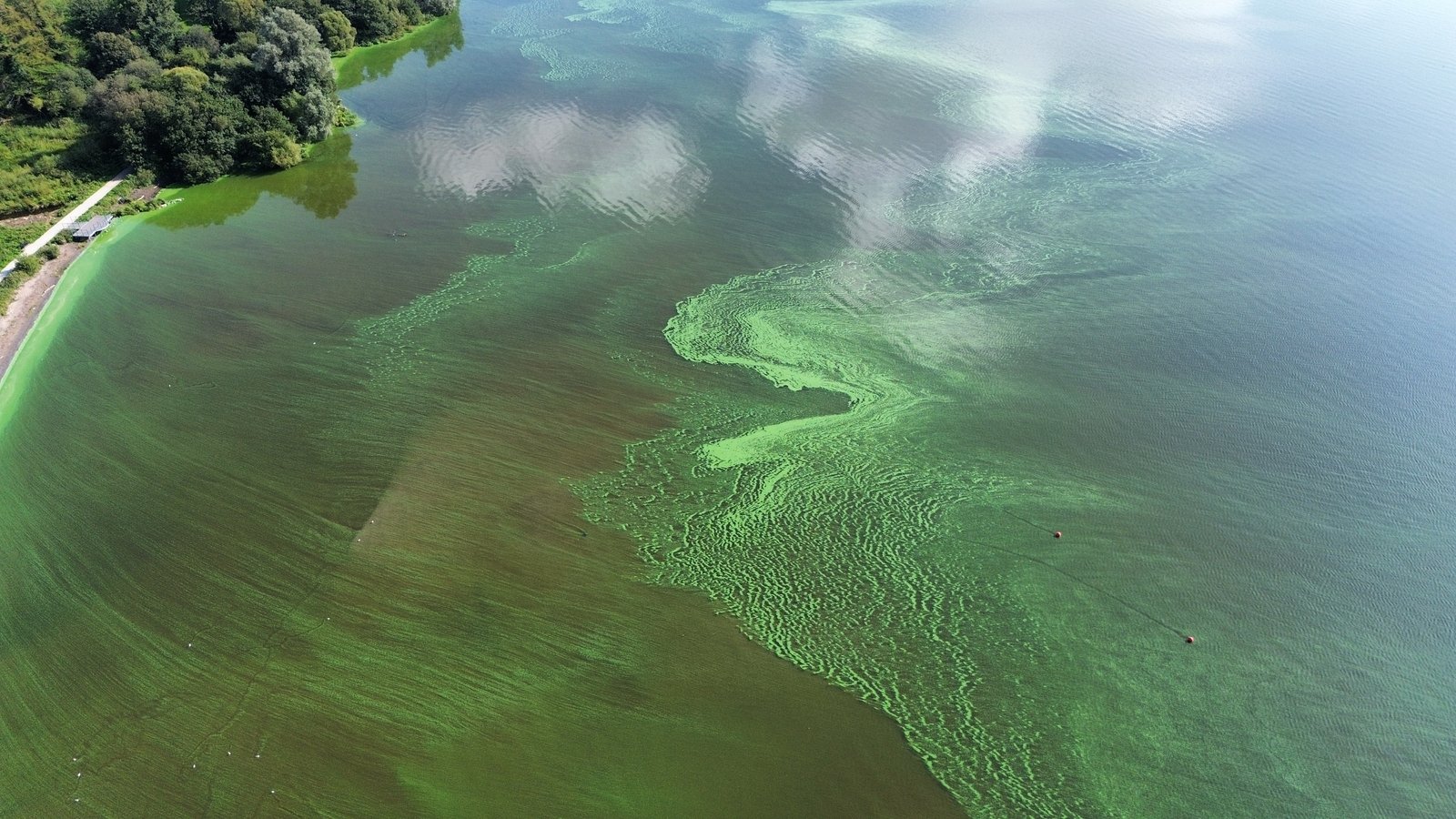 Attempt to 'undermine science' over Lough Neagh