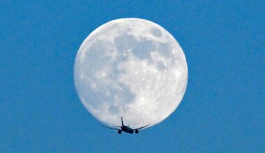 2026 will be a good year for Moon lovers