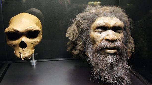 Picture taken on January 13, 2009 at the Musee de l'Homme in Paris shows a reconstruction of a head of a Homo Rhodesiensis, a possible hominin species described from the fossil Rhodesian Man. The exhibition, taking place from January 16 to March 16, 2009, features exquisitely preserved ancient homin