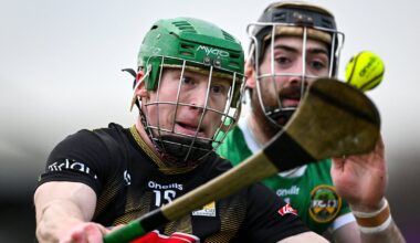 Kilkenny class eventually tells against plucky Offaly