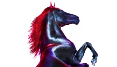 Peptides Are the New Wellness Cure-All