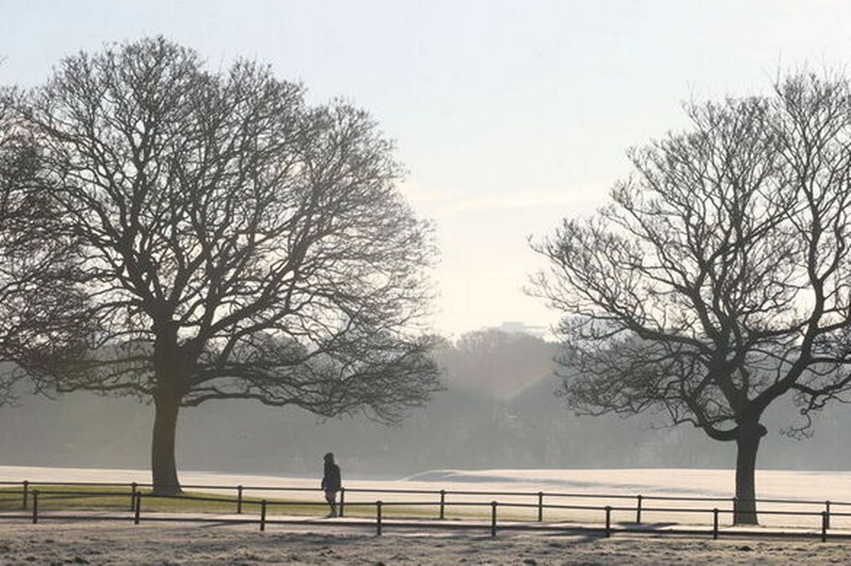 Phoenix Park (stock)