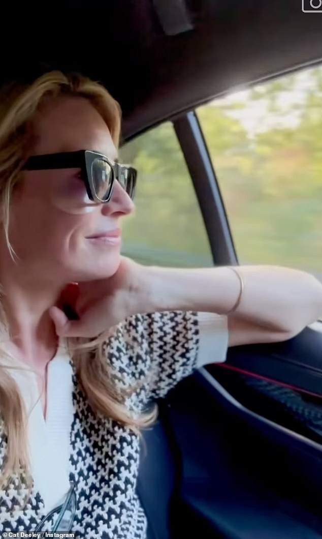 Cat gazed out of the window in one of the snaps