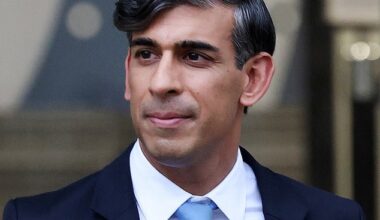 Rishi Sunak's new job with a California-based AIfirm is worth £373,000, it has been revealed.