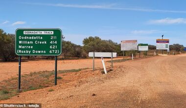 The mercury nudged 49.8C in the outback South Australian town of Maree