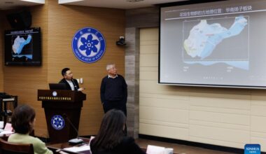 Chinese fossil find illuminates Earth's earliest mass extinction