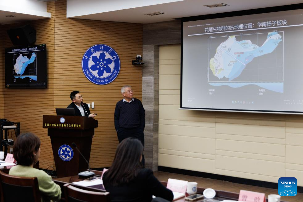 Chinese fossil find illuminates Earth's earliest mass extinction