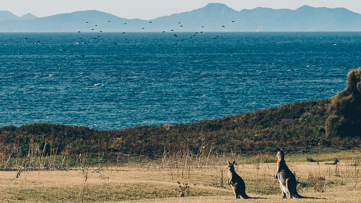 How an AI-generated travel website sent tourists to a non-existent hot spring attraction