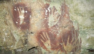 Handy work: Stencil rock paintings found in Indonesia may be world's oldest cave art