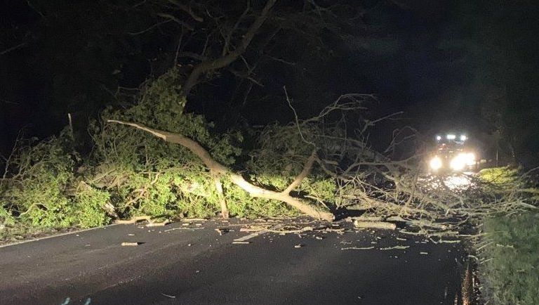 Storm Chandra updates: Trees down, roads flooded and power outages