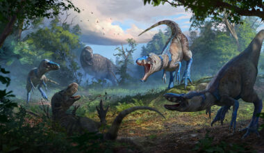 An illustration shows four T. rex looking dinos attacking a fifth in a jungly setting. The fallen dino is a juvenile T. rex and the four are a different diminutive species of tyrannosaur.