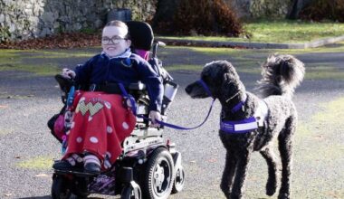 ‘I wonder if friends come to see me or my assistance dog Mozart – everyone loves him’