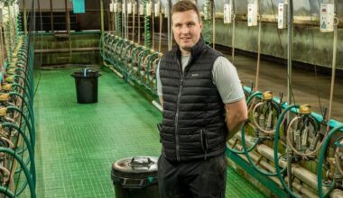 How this 190-cow farmer fears he could lose £100,000 next year