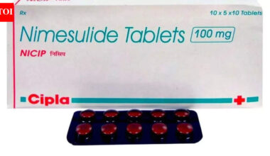 Govt bans high-dose nimesulide painkiller pills citing health risk | India News