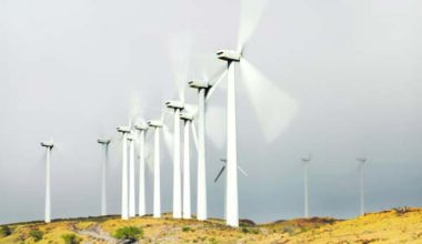 Kaheawa Wind Farm seeks new lease amid concerns over endangered species | News, Sports, Jobs