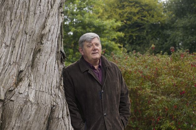 Declan Lynch: There are whispers about John Creedon running for president – a terrible thing to inflict on a man who has done us no harm