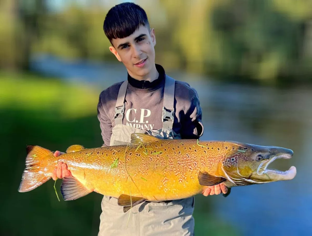 An individual stands by a body of water, proudly holding a large, golden-hued fish aloft. The fish features a pronounced mouth and a sleek body, while the individual is dressed in an apron and a black and gray long-sleeved shirt. The backdrop includes a serene river and a verdant landscape with trees.