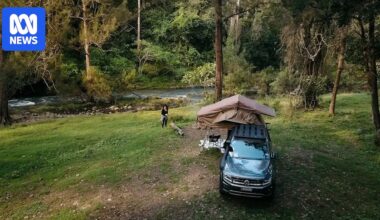 Scenic Rim Council red tape on camping pushes farmer to consider selling up