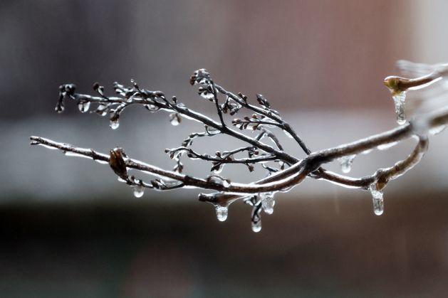 Milder temperatures on the way following cold spell, Met Éireann says