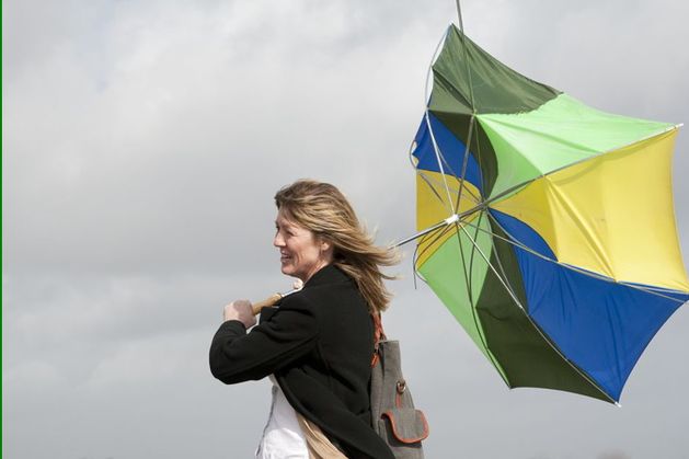 Ireland weather: Met Éireann issues Status Yellow wind warning for 11 counties as milder temperatures arrive