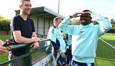 Arsenal announce Per Mertesacker exit with academy succession plan needed