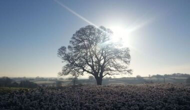 Cold snap on the way with temperatures dropping and hail, frost and thunder on the cards