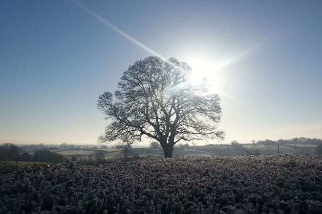 Cold snap on the way with temperatures dropping and hail, frost and thunder on the cards