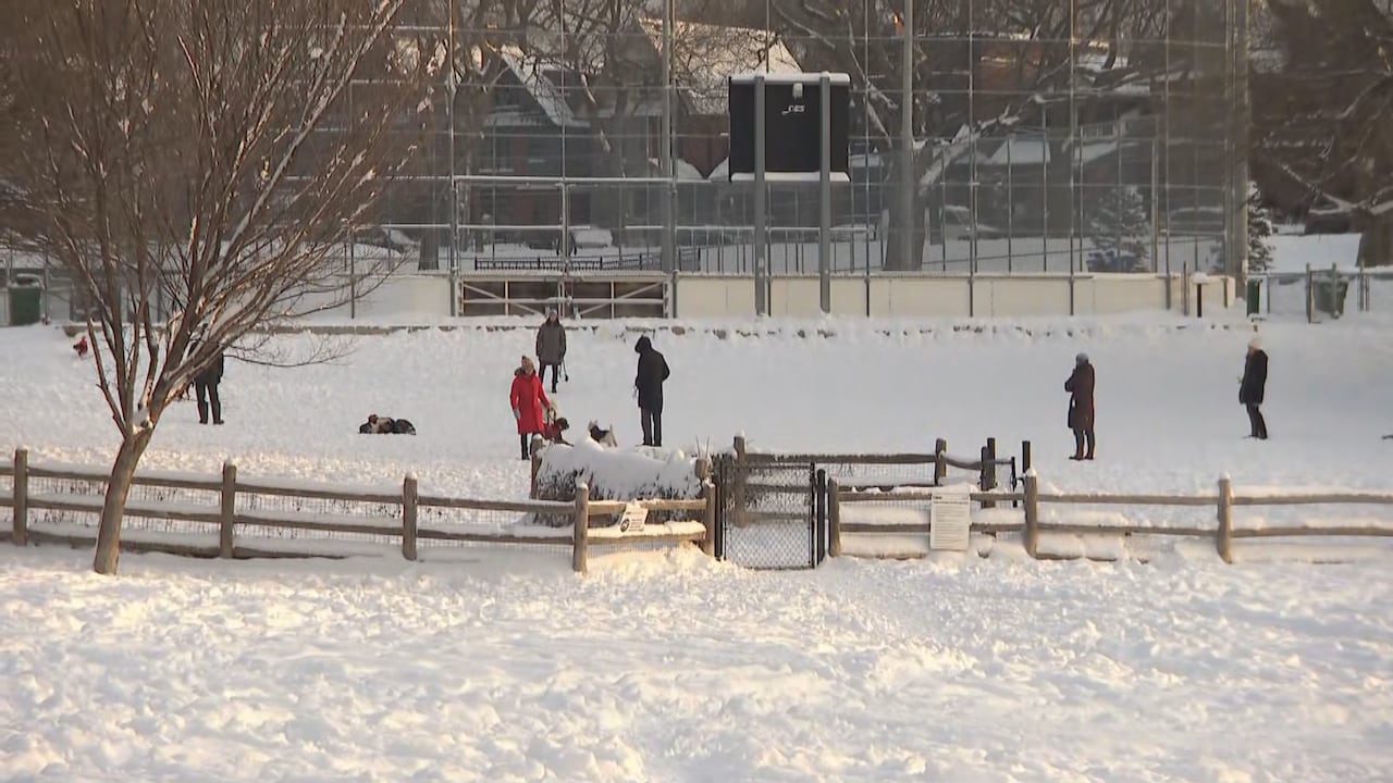 People stand inside a dog park.