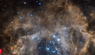 Rosette Nebula, also called the Skull Nebula, 10,000 times the mass of the Sun, peaks in winter skies: How to find it