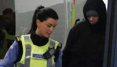 Businessman nicknamed ‘The Vet’ off the hook with ‘The Family’ gang after taking fall for €10m cocaine haul