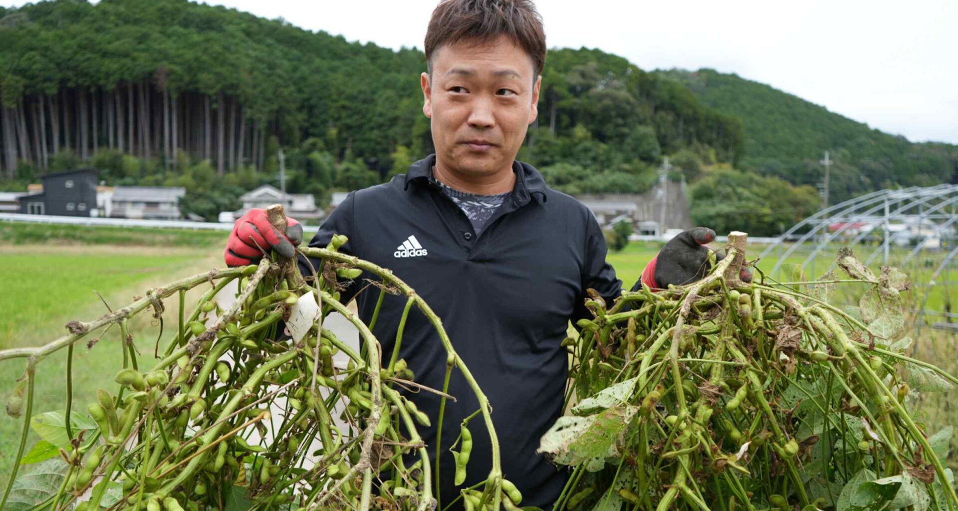 Let it grow: Panasonic's plant formula boosts CO2 absorption