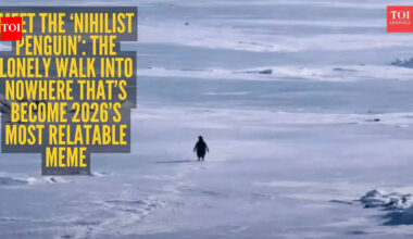 Explained: Why is a penguin’s 'death march' going viral? Know the meaning behind 'Nihilist Penguin' meme