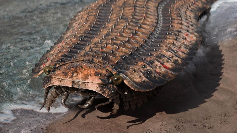Arthropleura_Reconstruction