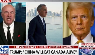 Kevin O’Leary predicts US and Canada will ‘unite’ economies despite Trump’s tariff threat - Fox News