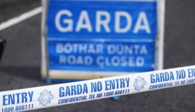 Woman (60s) dies after being struck by truck in Swords