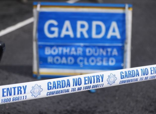 Woman (60s) dies after being struck by truck in Swords