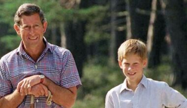 Prince Harry makes cameo in King Charles's new documentary