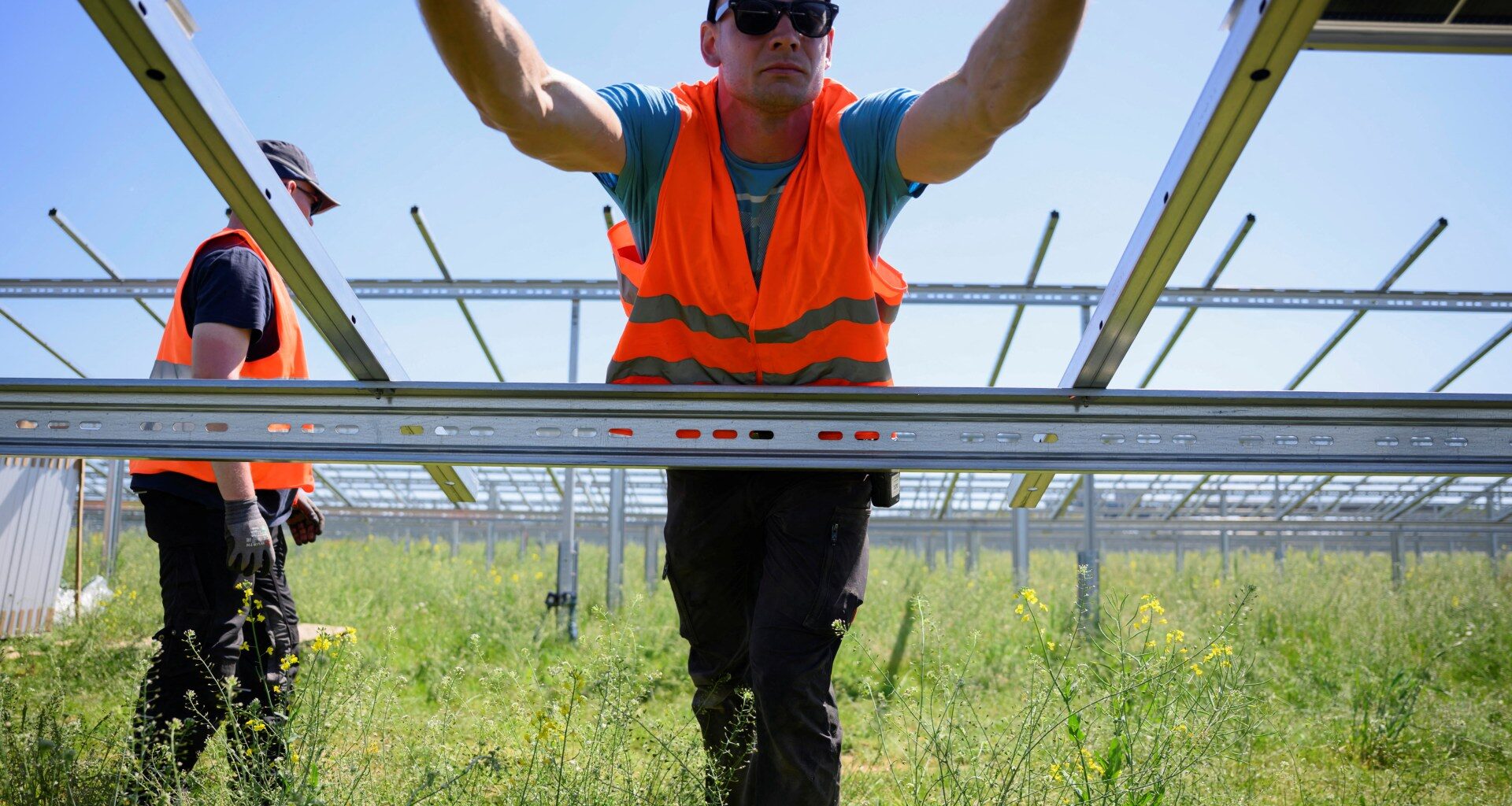 Renewables muscle fossil fuels out of EU electricity market, says research | Energy News