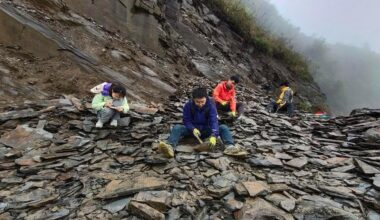 Chinese fossil find illuminates Earth's earliest mass extinction-Xinhua