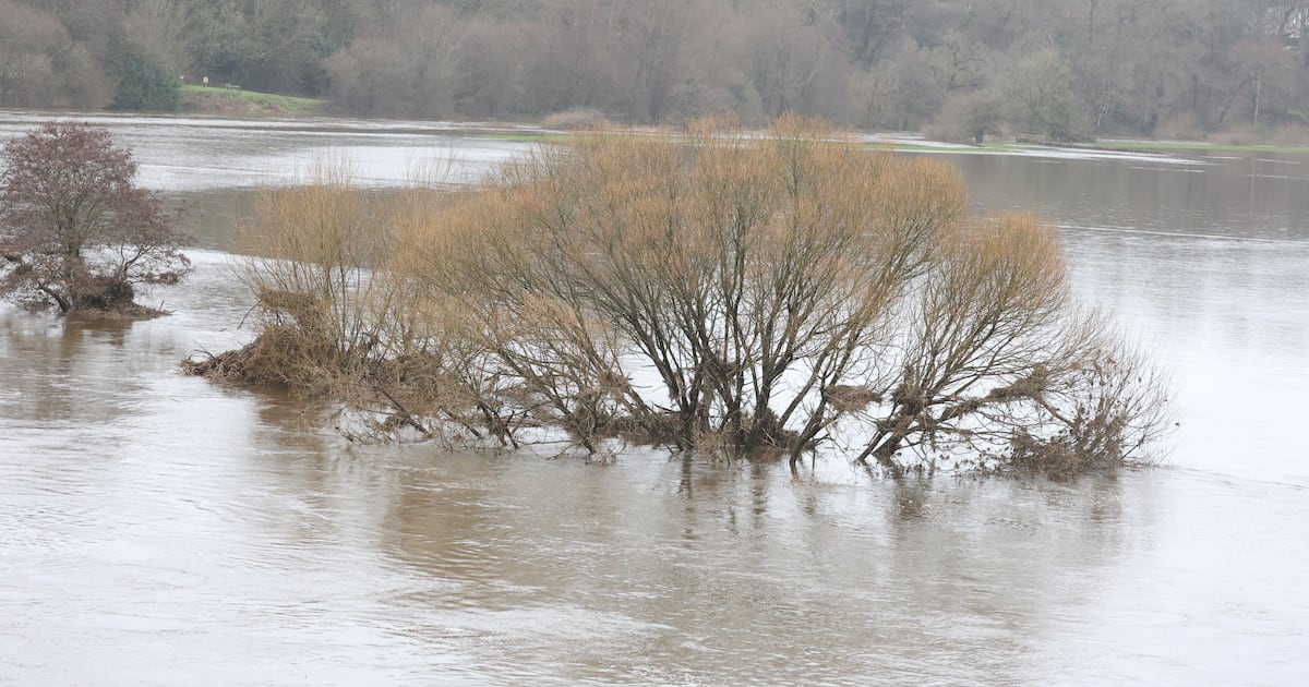 Parts of Wexford and Kilkenny flooded as rainfall lightens and warnings pass – The Irish Times