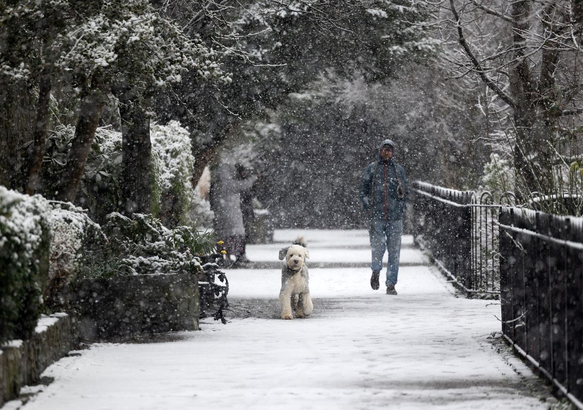 Pictured people walking in the Blessington Basin in Dublin this as heavy snow falls