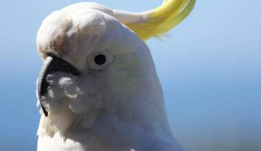 Yahoo entertainment home