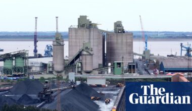 EU’s new ‘green tariff’ rules on high-carbon goods come into force | Environment