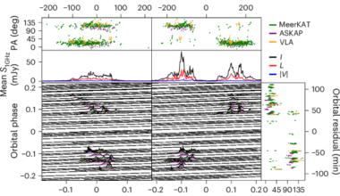 A binary model of long-period radio transients and white dwarf pulsars