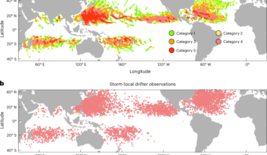 Weak self-induced cooling of tropical cyclones amid fast sea surface warming